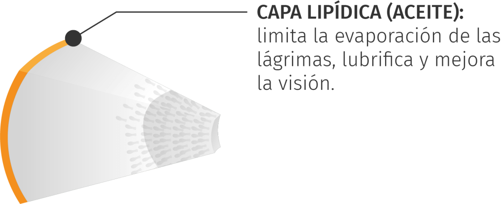 capa interferometria meibographia parpadeo