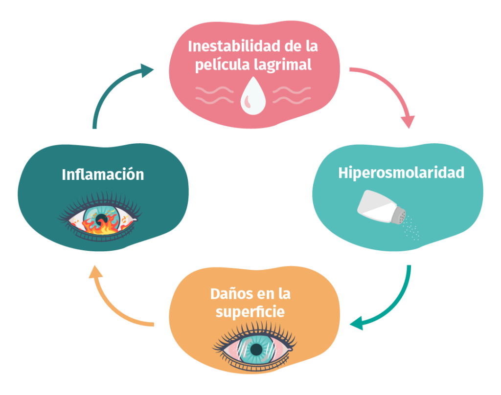 Plan de travail 1es